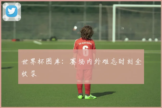 世界杯图库:赛场内外难忘时刻全收录