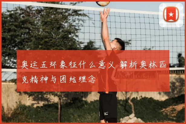 奥运五环象征什么意义 解析奥林匹克精神与团结理念