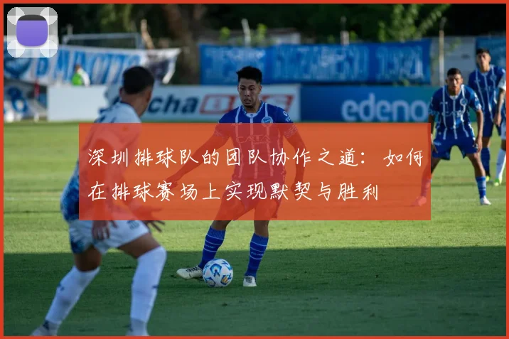 深圳排球队的团队协作之道:如何在排球赛场上实现默契与胜利