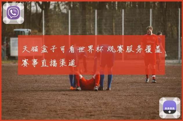 天猫盒子可看世界杯 观赛服务覆盖赛事直播渠道