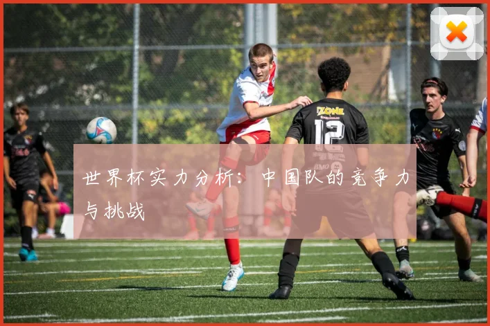 世界杯实力分析：中国队的竞争力与挑战