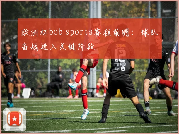 欧洲杯bob sports赛程前瞻：球队备战进入关键阶段