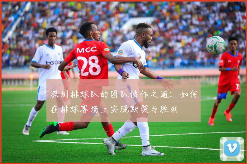 深圳排球队的团队协作之道:如何在排球赛场上实现默契与胜利