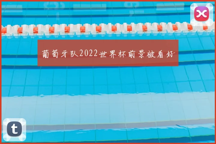葡萄牙队2022世界杯前景被看好