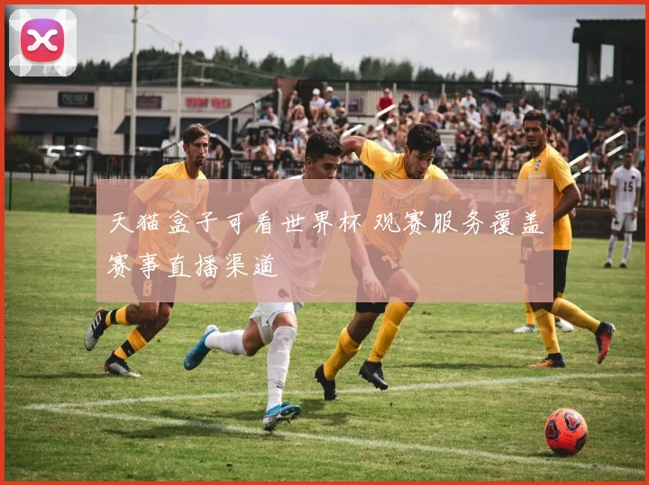 天猫盒子可看世界杯 观赛服务覆盖赛事直播渠道