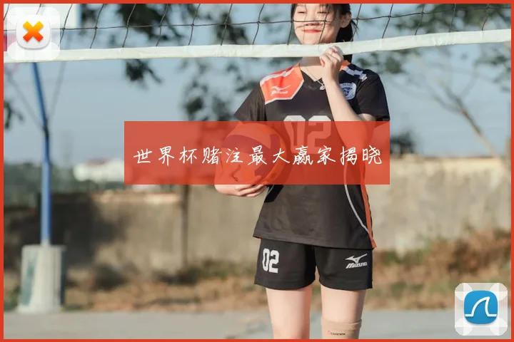 世界杯赌注最大赢家揭晓