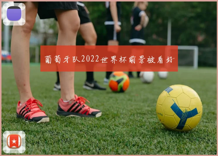 葡萄牙队2022世界杯前景被看好