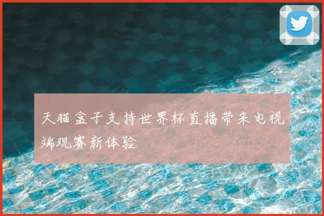 天猫盒子支持世界杯直播带来电视端观赛新体验